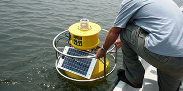 Impaired Ecosystem Monitoring in Mount Hope Bay